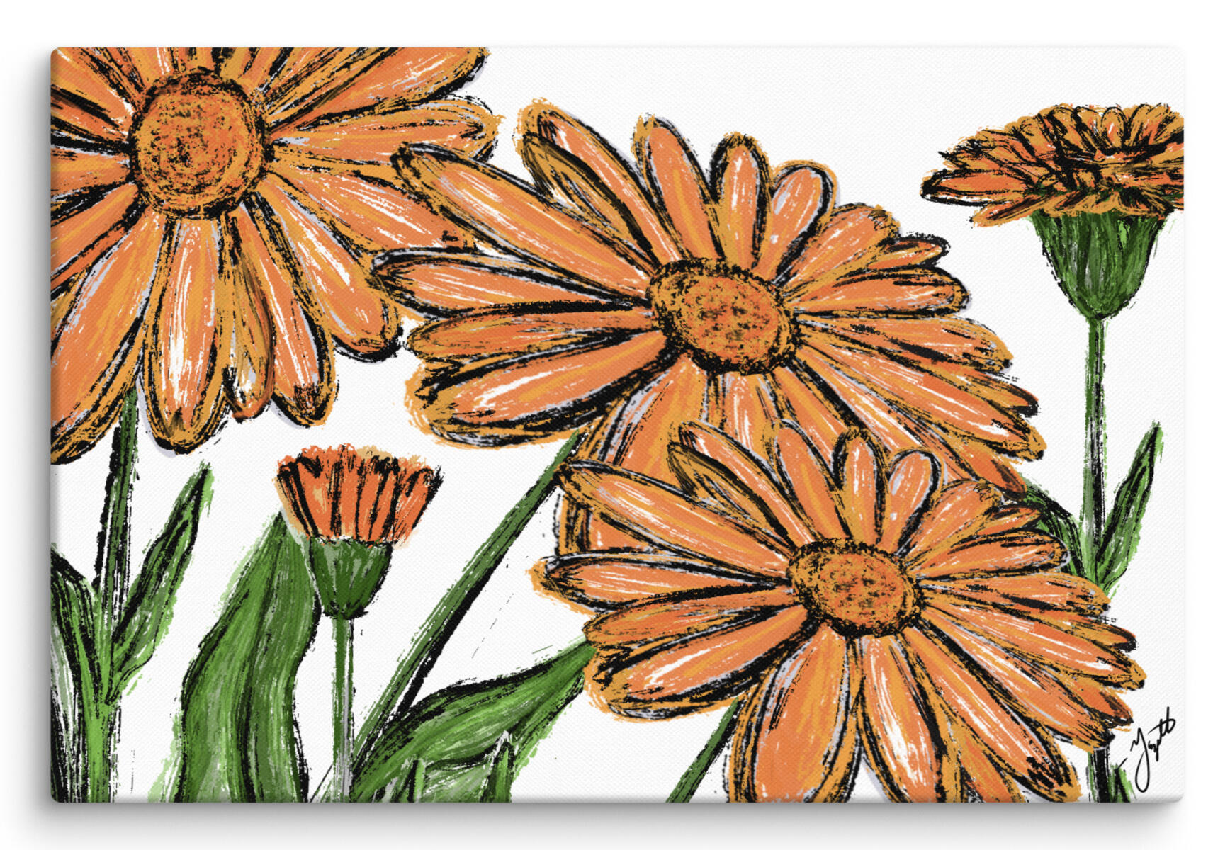 Calendula officinalis