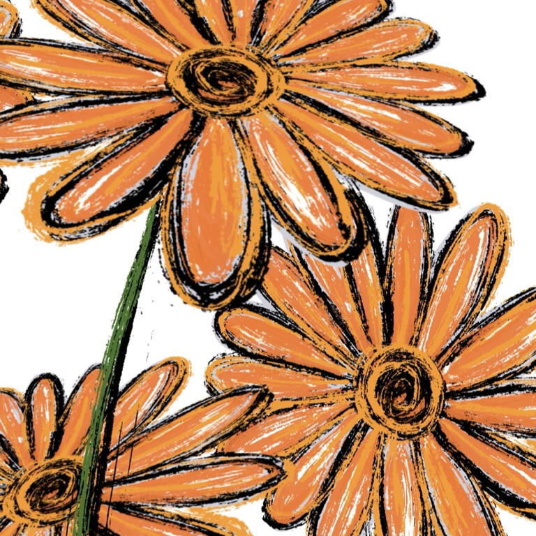 Calendula officinalis